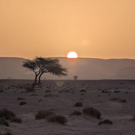 Готель Mhamid Sahara Camp - Mhamid El Ghizlane Мхамід Екстер'єр фото