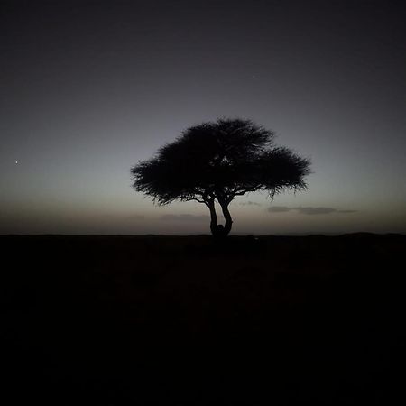 Готель Mhamid Sahara Camp - Mhamid El Ghizlane Мхамід Екстер'єр фото