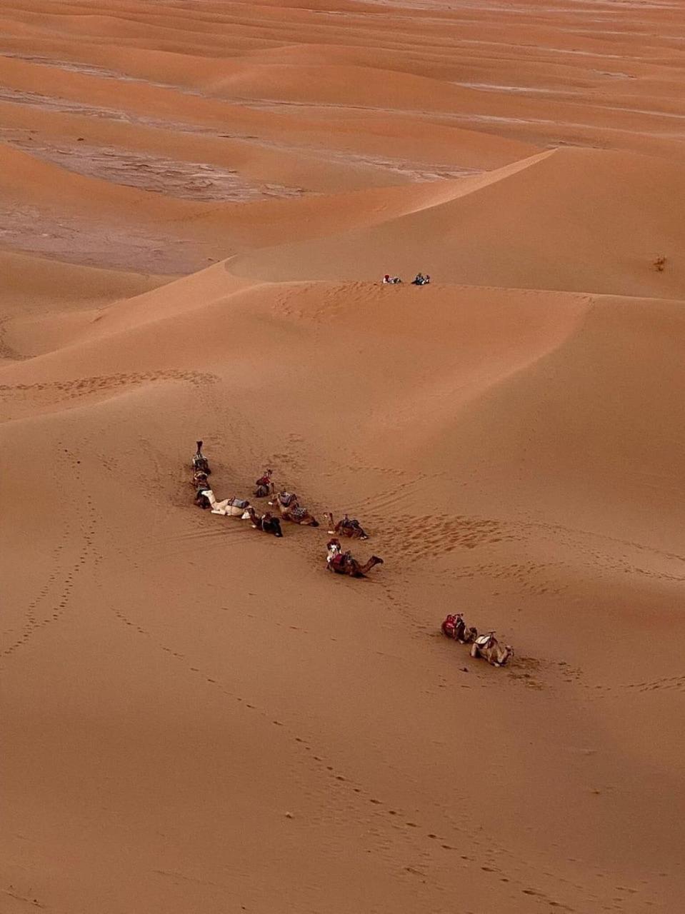 Готель Mhamid Sahara Camp - Mhamid El Ghizlane Мхамід Екстер'єр фото