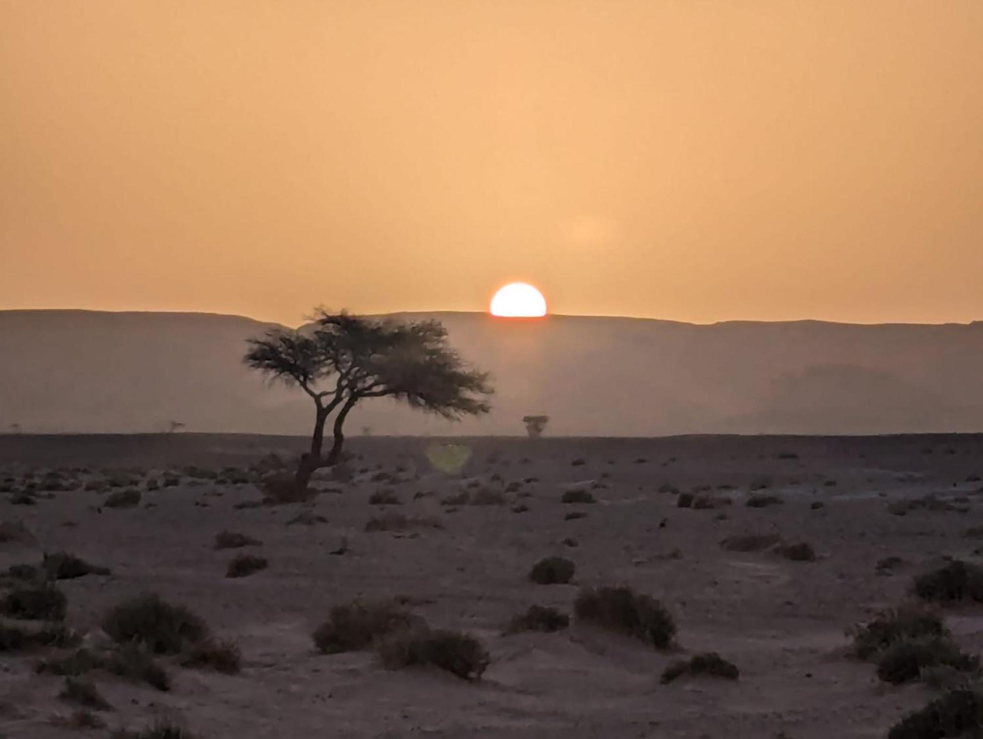 Готель Mhamid Sahara Camp - Mhamid El Ghizlane Мхамід Екстер'єр фото