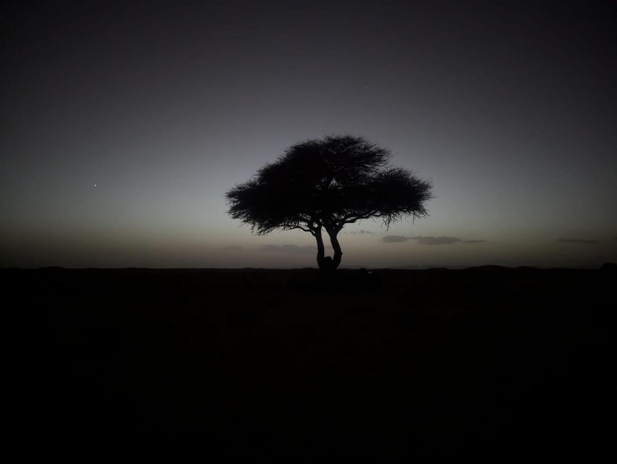 Готель Mhamid Sahara Camp - Mhamid El Ghizlane Мхамід Екстер'єр фото